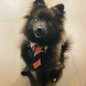 Meet your Posher, Juan